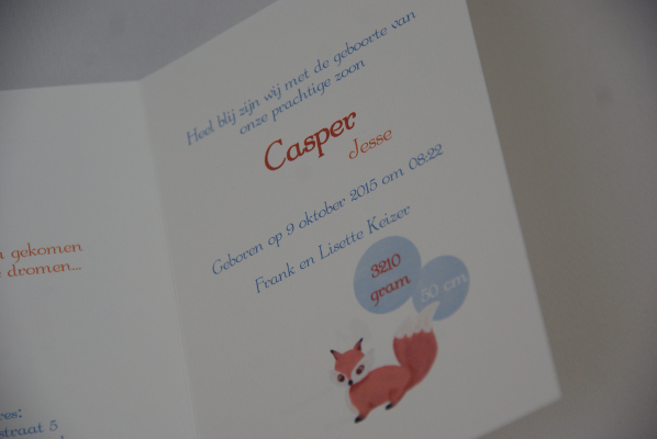 geboortekaartje casper lichtblauw